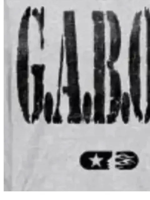 HELLSTAR G.A.B.O.S. graphic-print hoodie